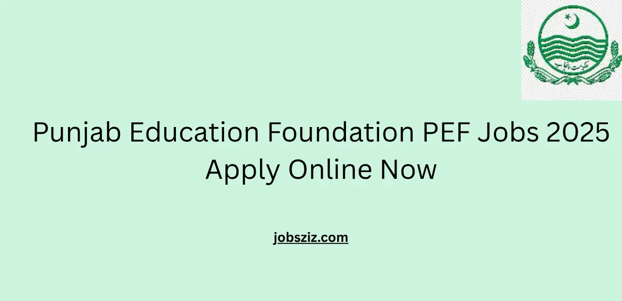 Punjab Education Foundation PEF Jobs 2025 Apply Online Now